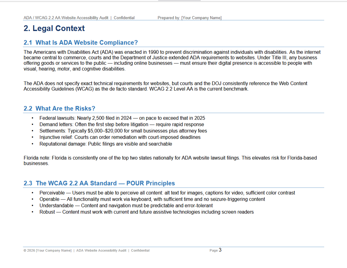 MyADASiteAudit.com thumbnail 3